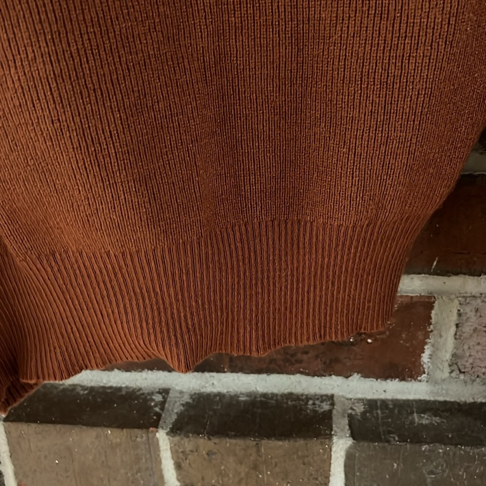 PRETTY GARDEN Brown Sweetheart Neckline Cropped Sweater NWOT - Picture 7 of 9
